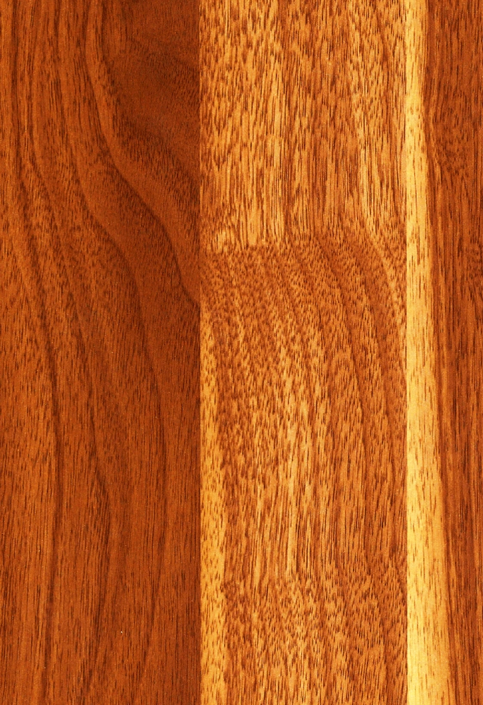 Decoràtive Plywood - American Teak Red - Image 3