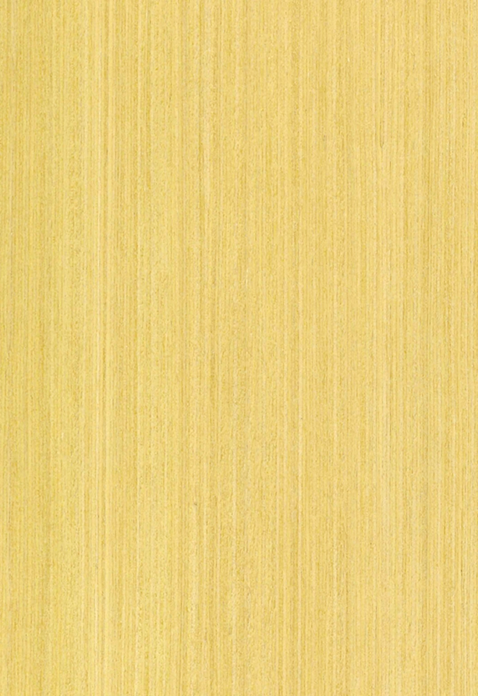 Veneered Board - Champ Regular - Image 3